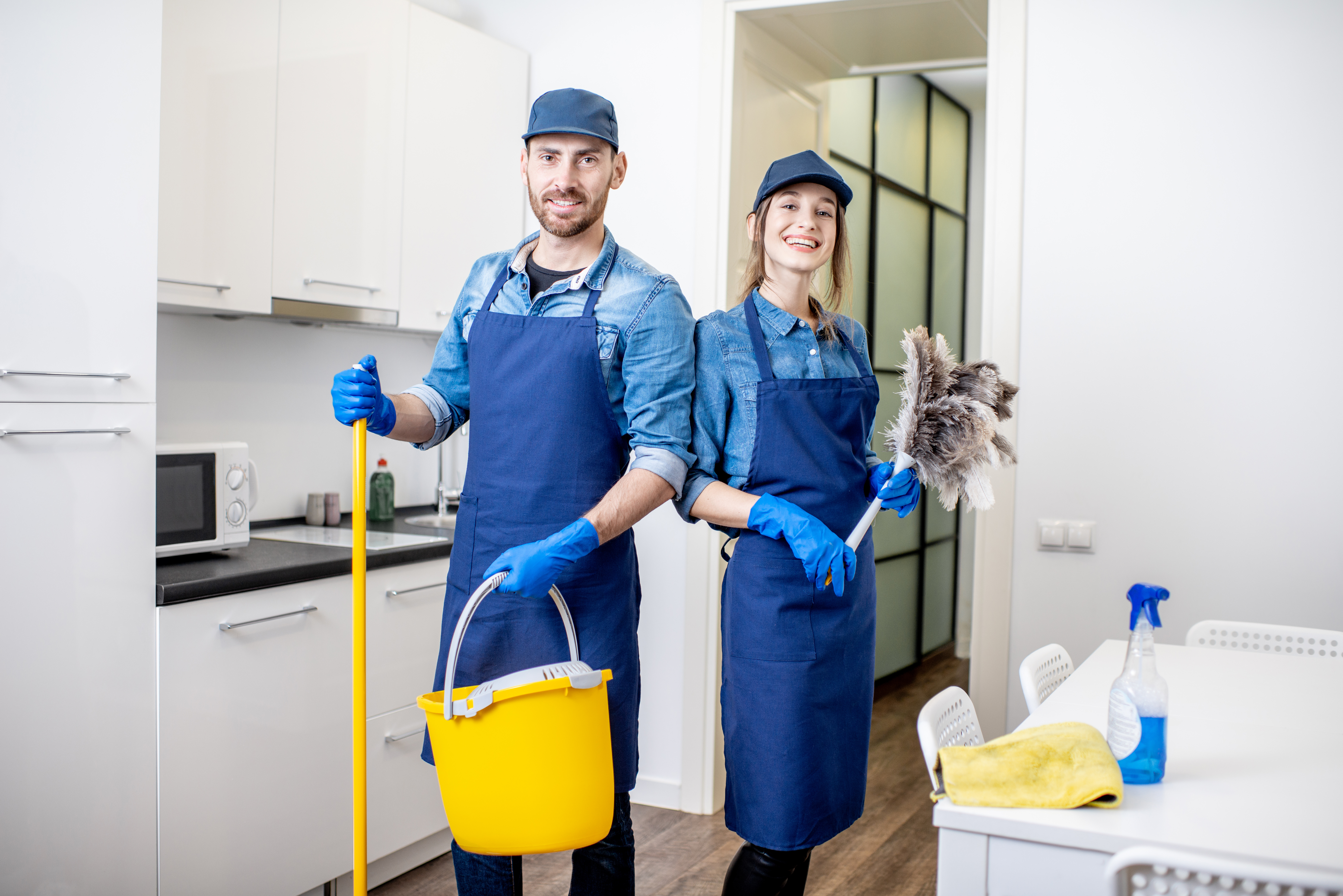 Professional Domestic Cleaning